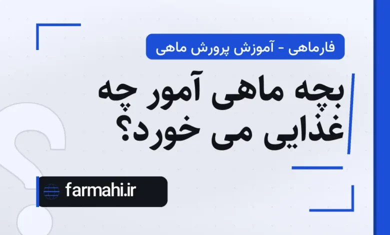 بچه ماهی آمور چه غذایی می خورد؟