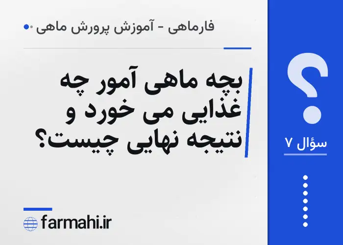 بچه ماهی آمور چه غذایی می خورد و نتیجه نهایی چیست؟