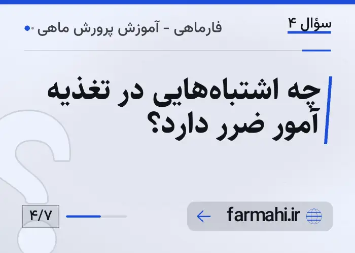 چه اشتباه‌هایی در تغذیه آمور ضرر دارد؟