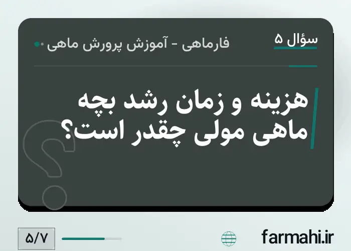 هزینه و زمان رشد بچه ماهی مولی چقدر است؟