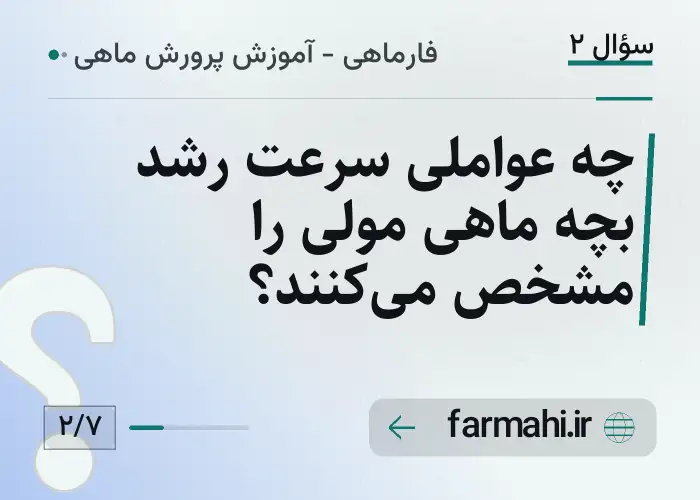 چه عواملی سرعت رشد بچه ماهی مولی را مشخص می‌کنند؟