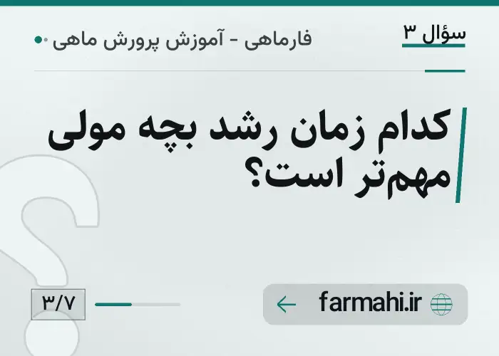 کدام زمان رشد بچه مولی مهم‌تر است؟