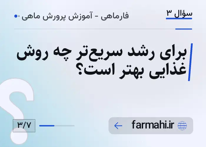 برای رشد سریع‌تر چه روش غذایی بهتر است؟