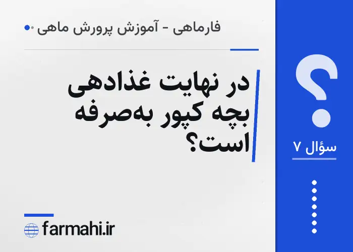 در نهایت غذادهی بچه کپور به‌صرفه است؟