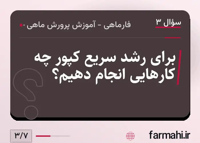 برای رشد سریع کپور چه کارهایی انجام دهیم؟
