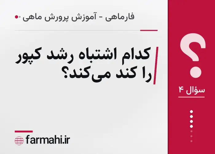 کدام اشتباه رشد کپور را کند می‌کند؟