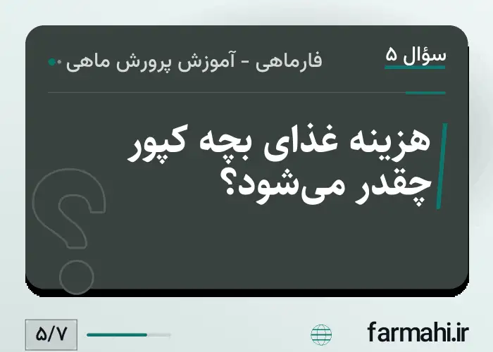 هزینه غذای بچه کپور چقدر می‌شود؟
