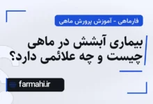 بیماری آبشش در ماهی چیست و چه علائمی دارد؟