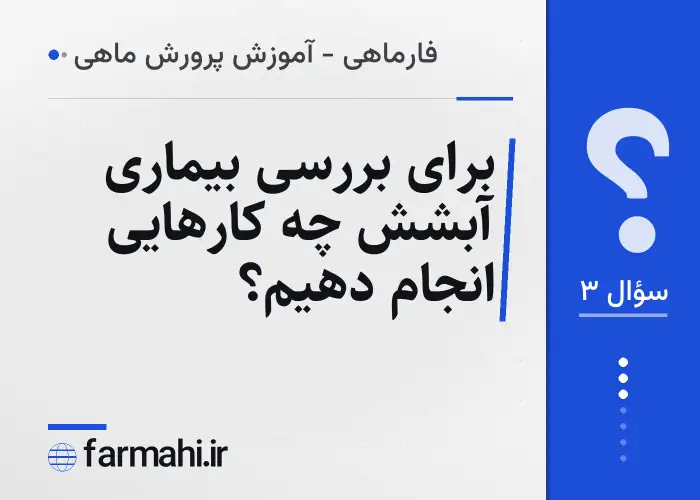 برای بررسی بیماری آبشش چه کارهایی انجام دهیم؟