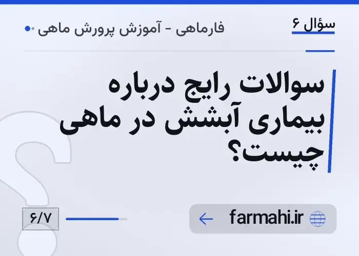 سوالات رایج درباره بیماری آبشش در ماهی چیست؟