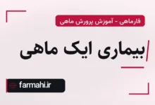بیماری ایک ماهی