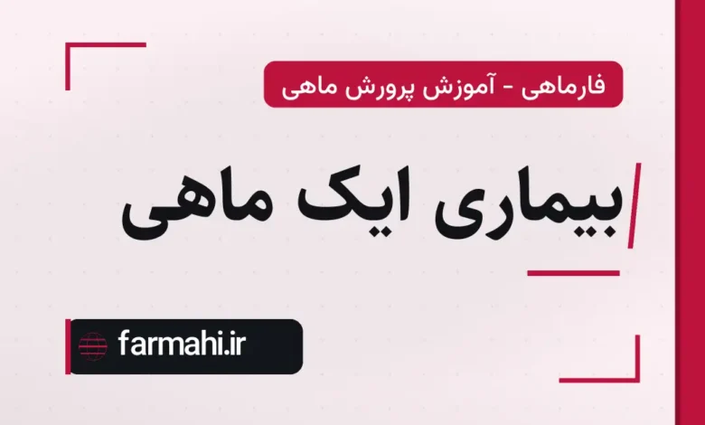 بیماری ایک ماهی