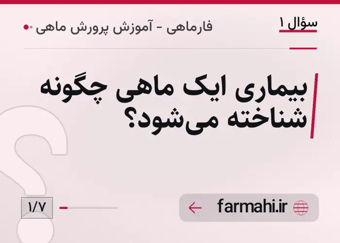 بیماری ایک ماهی چگونه شناخته می‌شود؟