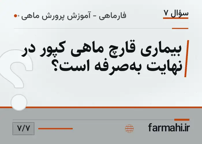 بیماری قارچ ماهی کپور در نهایت به‌صرفه است؟