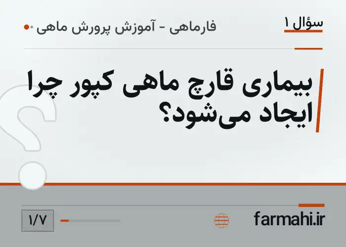 بیماری قارچ ماهی کپور چرا ایجاد می‌شود؟