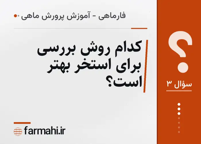 کدام روش بررسی برای استخر بهتر است؟