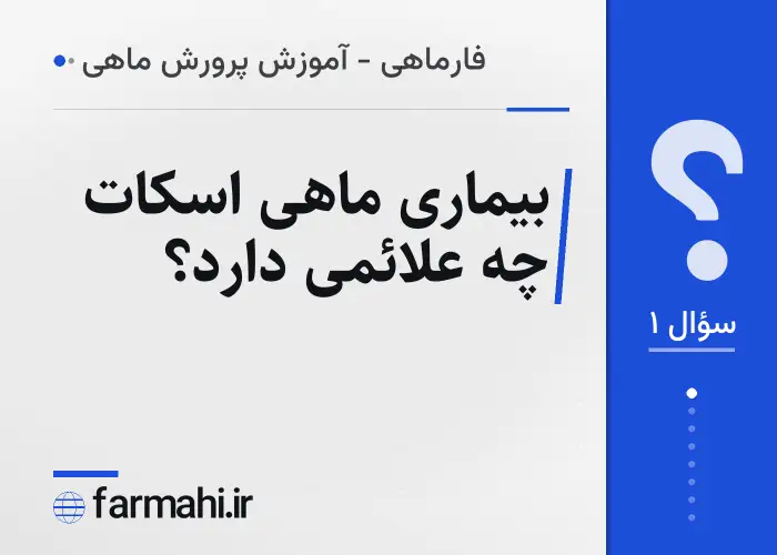 بیماری ماهی اسکات چه علائمی دارد؟