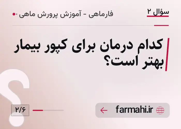 کدام درمان برای کپور بیمار بهتر است؟