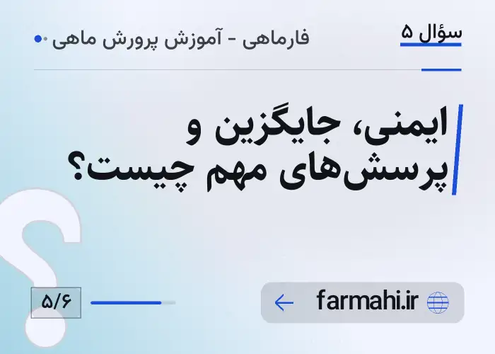 ایمنی، جایگزین و پرسش‌های مهم چیست؟