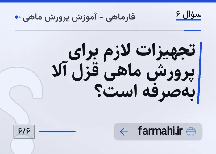 تجهیزات لازم برای پرورش ماهی قزل آلا به‌صرفه است؟