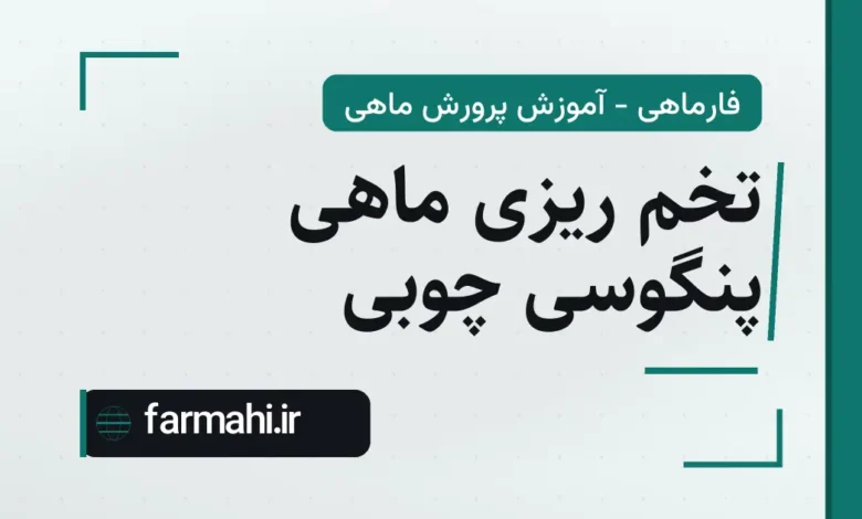 تخم ریزی ماهی پنگوسی چوبی