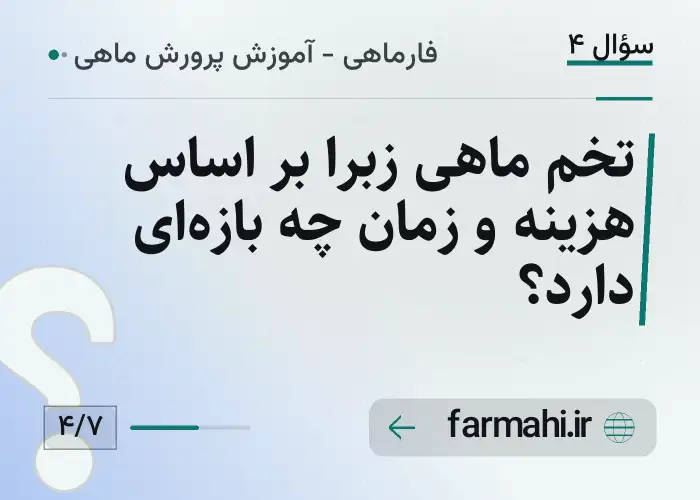 تخم ماهی زبرا بر اساس هزینه و زمان چه بازه‌ای دارد؟