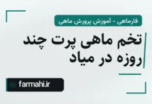 تخم ماهی پرت چند روزه در میاد
