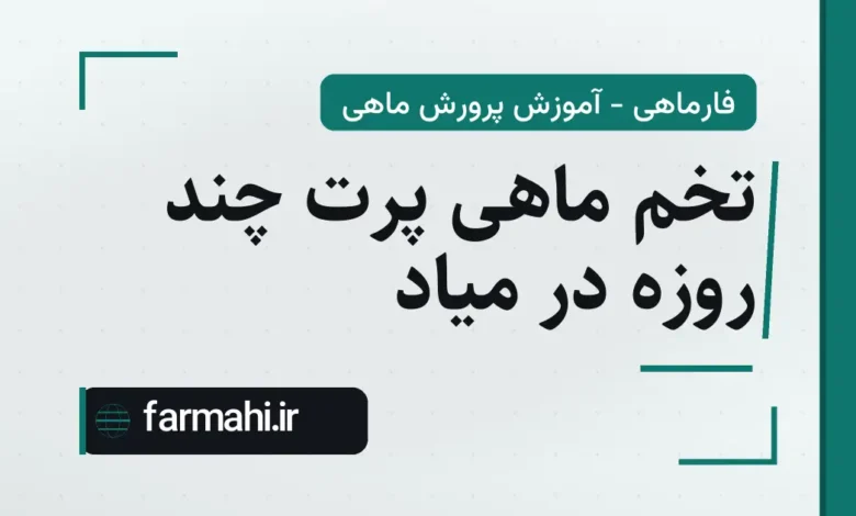 تخم ماهی پرت چند روزه در میاد