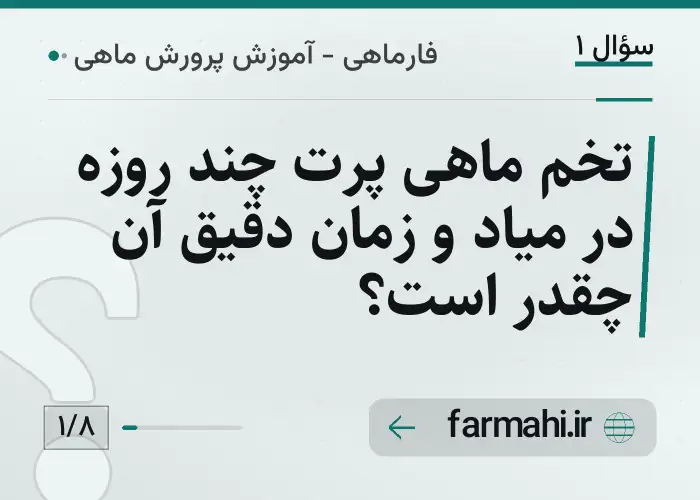 تخم ماهی پرت چند روزه در میاد و زمان دقیق آن چقدر است؟