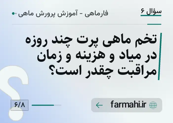 تخم ماهی پرت چند روزه در میاد و هزینه و زمان مراقبت چقدر است؟
