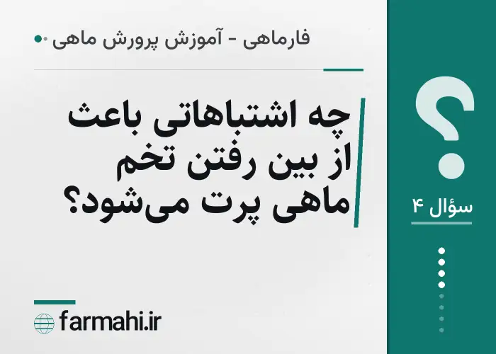 چه اشتباهاتی باعث از بین رفتن تخم ماهی پرت می‌شود؟