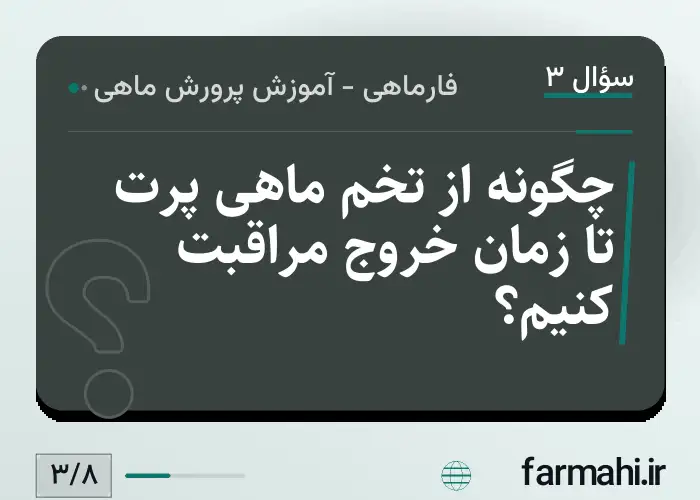 چگونه از تخم ماهی پرت تا زمان خروج مراقبت کنیم؟