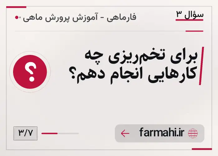 برای تخم‌ریزی چه کارهایی انجام دهم؟