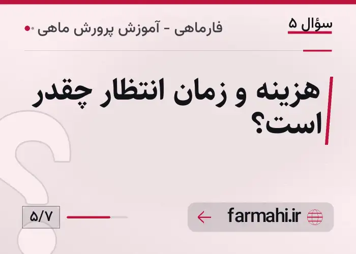 هزینه و زمان انتظار چقدر است؟