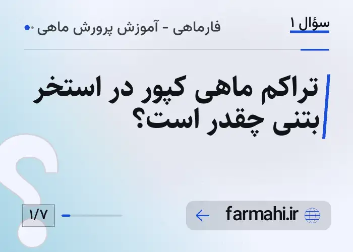 تراکم ماهی کپور در استخر بتنی چقدر است؟