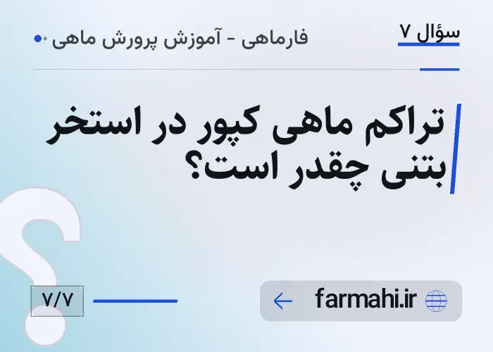 تراکم ماهی کپور در استخر بتنی چقدر است؟