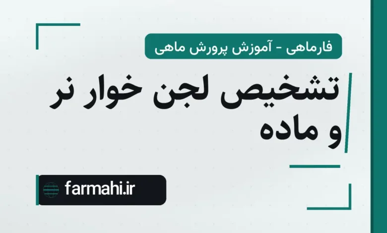 تشخیص لجن خوار نر و ماده