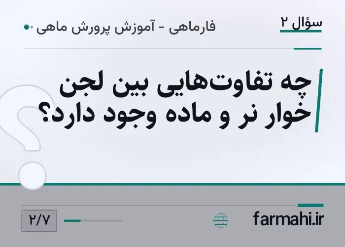 چه تفاوت‌هایی بین لجن خوار نر و ماده وجود دارد؟