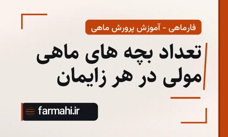 تعداد بچه های ماهی مولی در هر زایمان