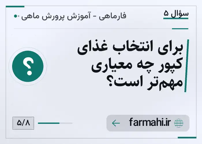 برای انتخاب غذای کپور چه معیاری مهم‌تر است؟