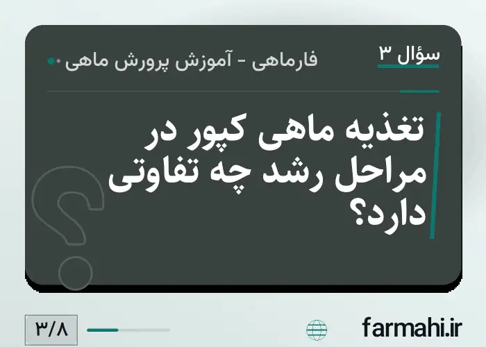 تغذیه ماهی کپور در مراحل رشد چه تفاوتی دارد؟