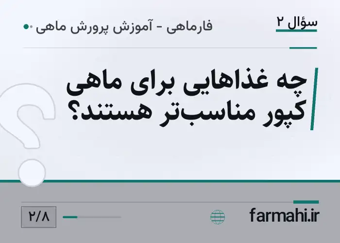 چه غذاهایی برای ماهی کپور مناسب‌تر هستند؟