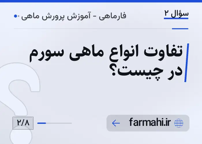 تفاوت انواع ماهی سورم در چیست؟