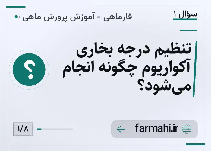 تنظیم درجه بخاری آکواریوم چگونه انجام می‌شود؟