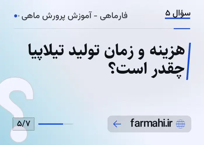 هزینه و زمان تولید تیلاپیا چقدر است؟