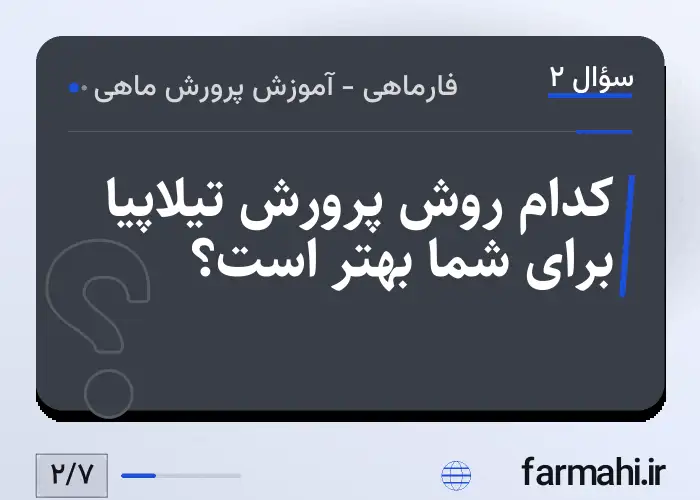 کدام روش پرورش تیلاپیا برای شما بهتر است؟