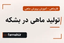 تولید ماهی در بشکه