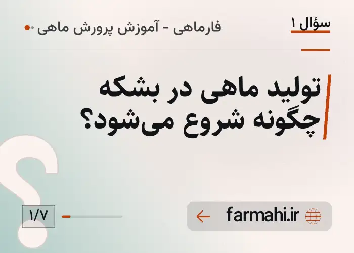 تولید ماهی در بشکه چگونه شروع می‌شود؟
