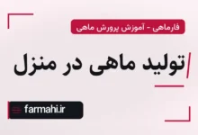 تولید ماهی در منزل