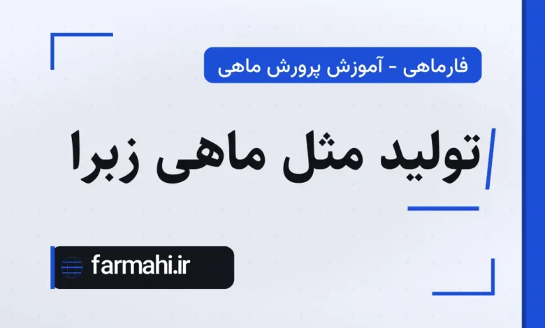 تولید مثل ماهی زبرا